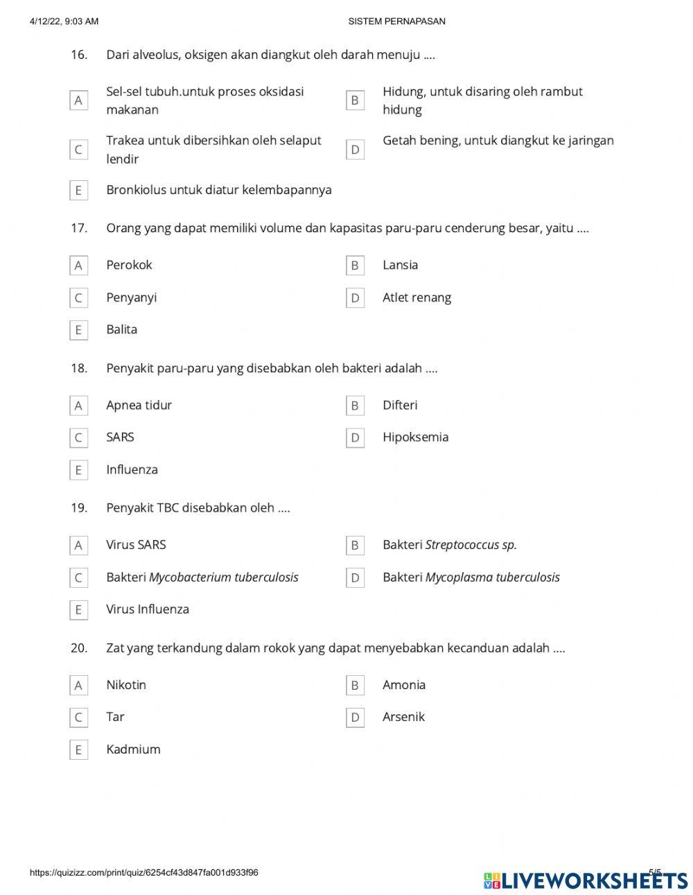 Try out sistem pernapasan