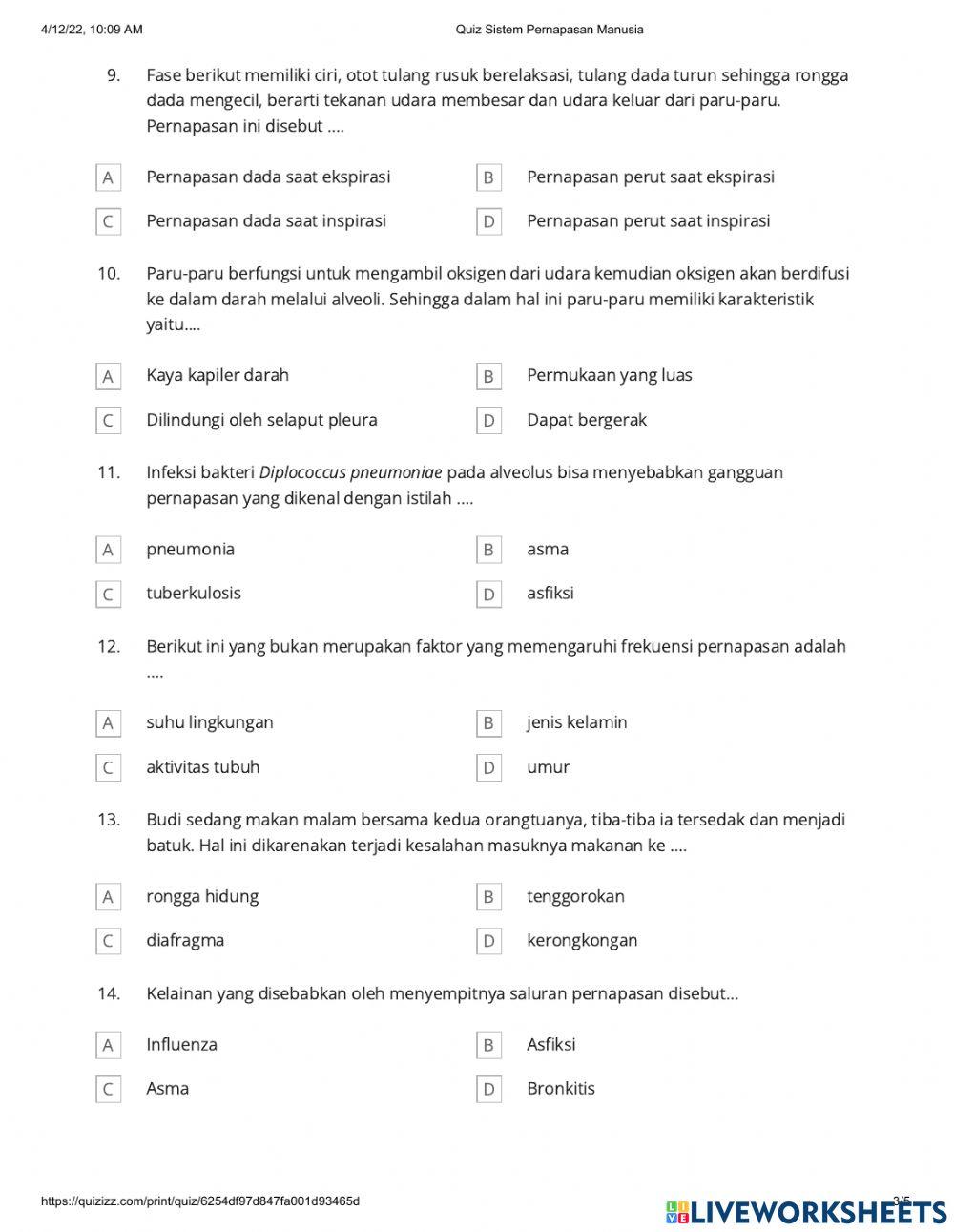 Try outs respirasi 2