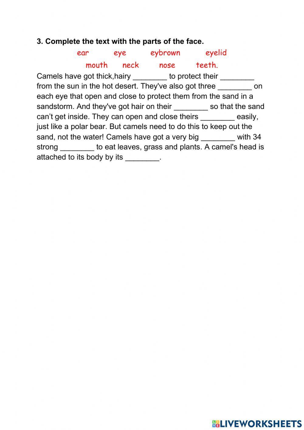 Achievers A1 - U7 - vocabulary -page 77