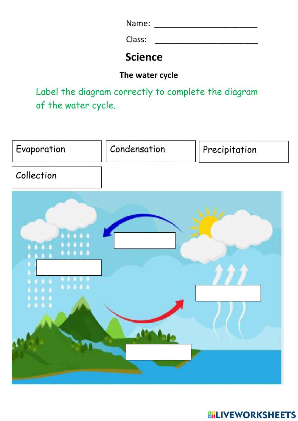 Water Cycle Standard 2 Peter Harewood Live water-cycle-standard-2-peter-harewood-live