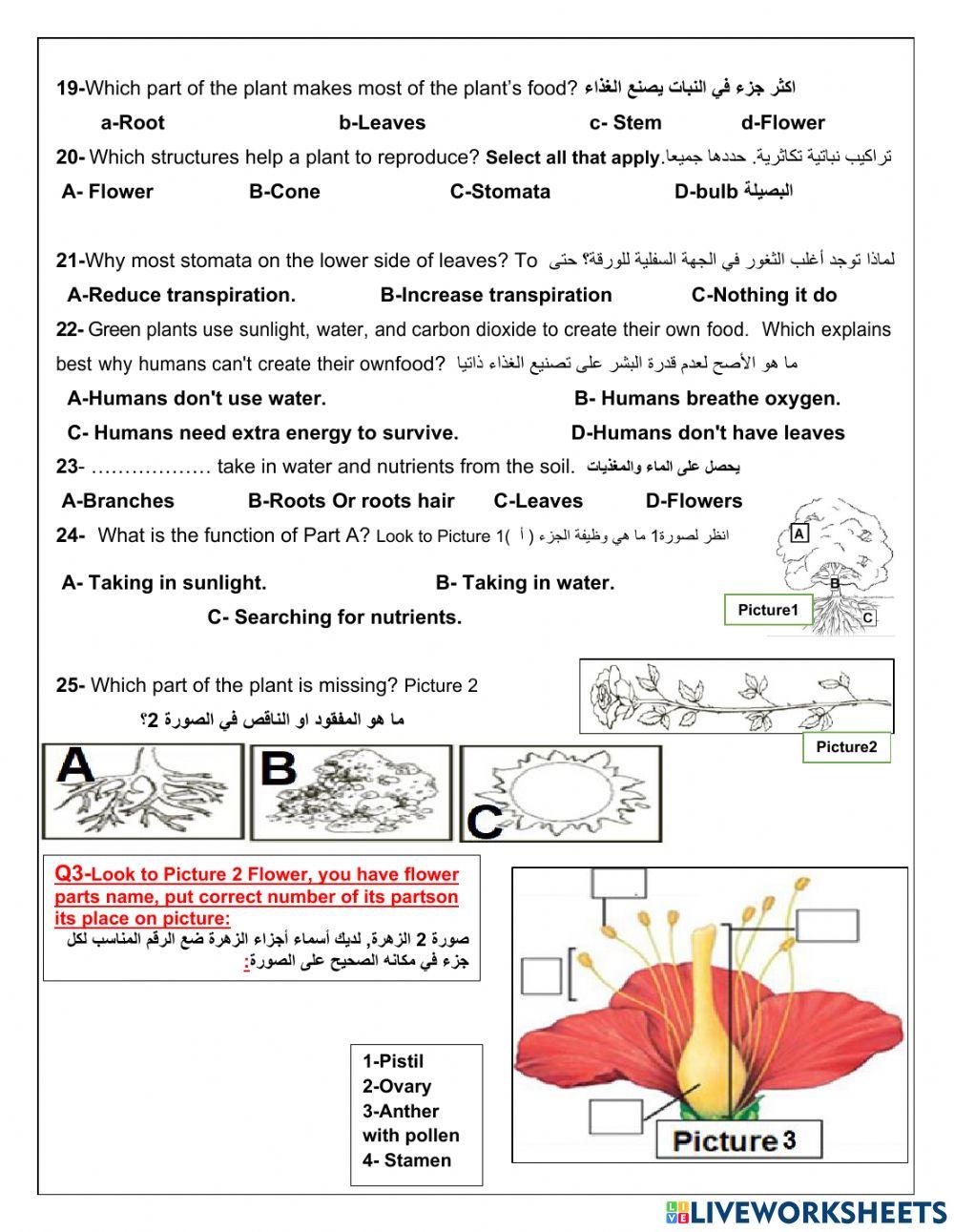 U4-M1-L1-Structures and Functions of Plants
