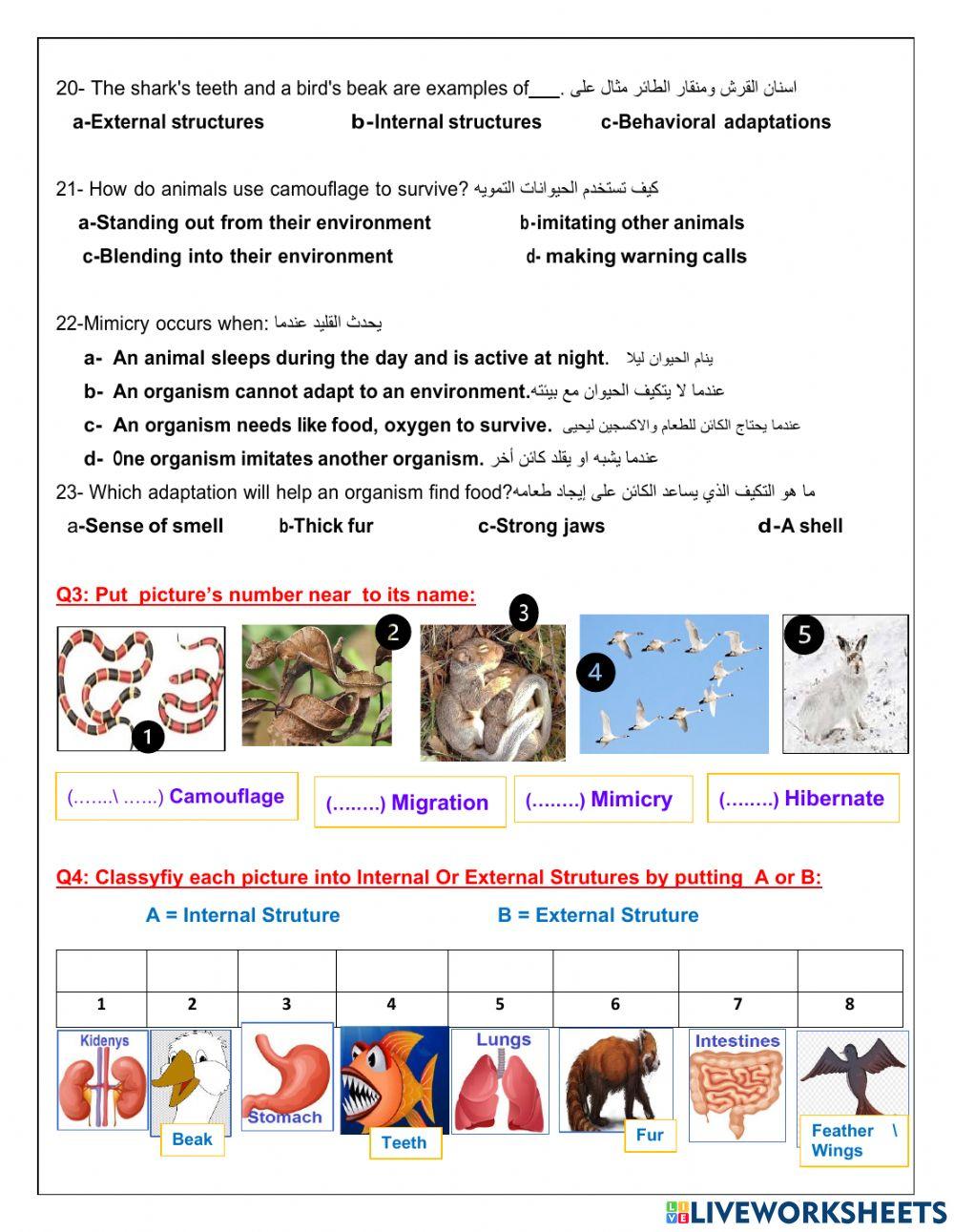 U4-M1-L2-Structures and Functions  of Animals