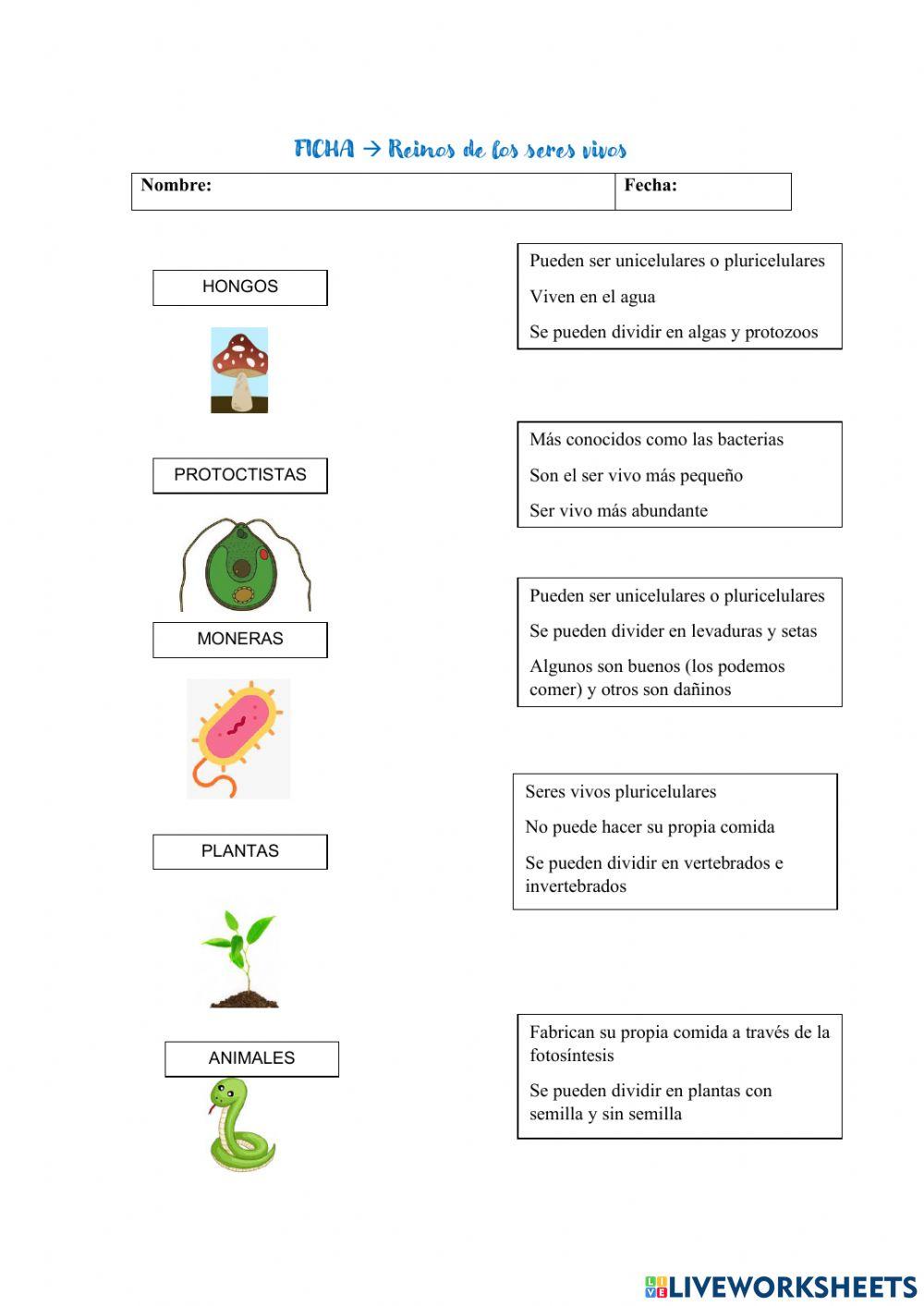 Ficha reinos seres vivos