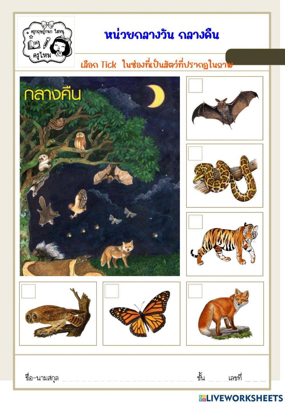 หน่วยกลางวัน กลางคืน