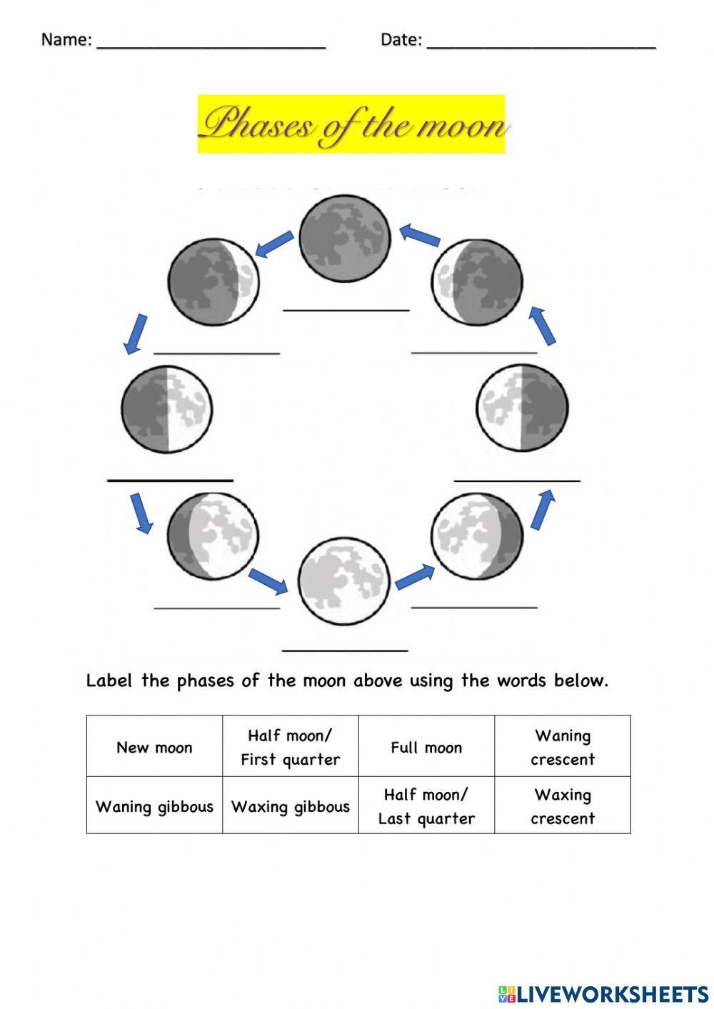 Phases of the moon