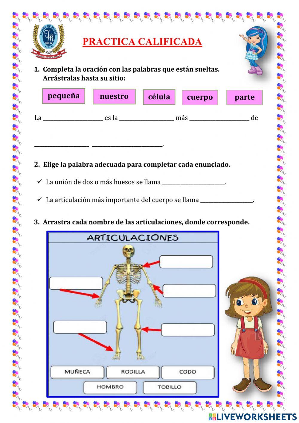 Conociendo mas nuestro cuerpo