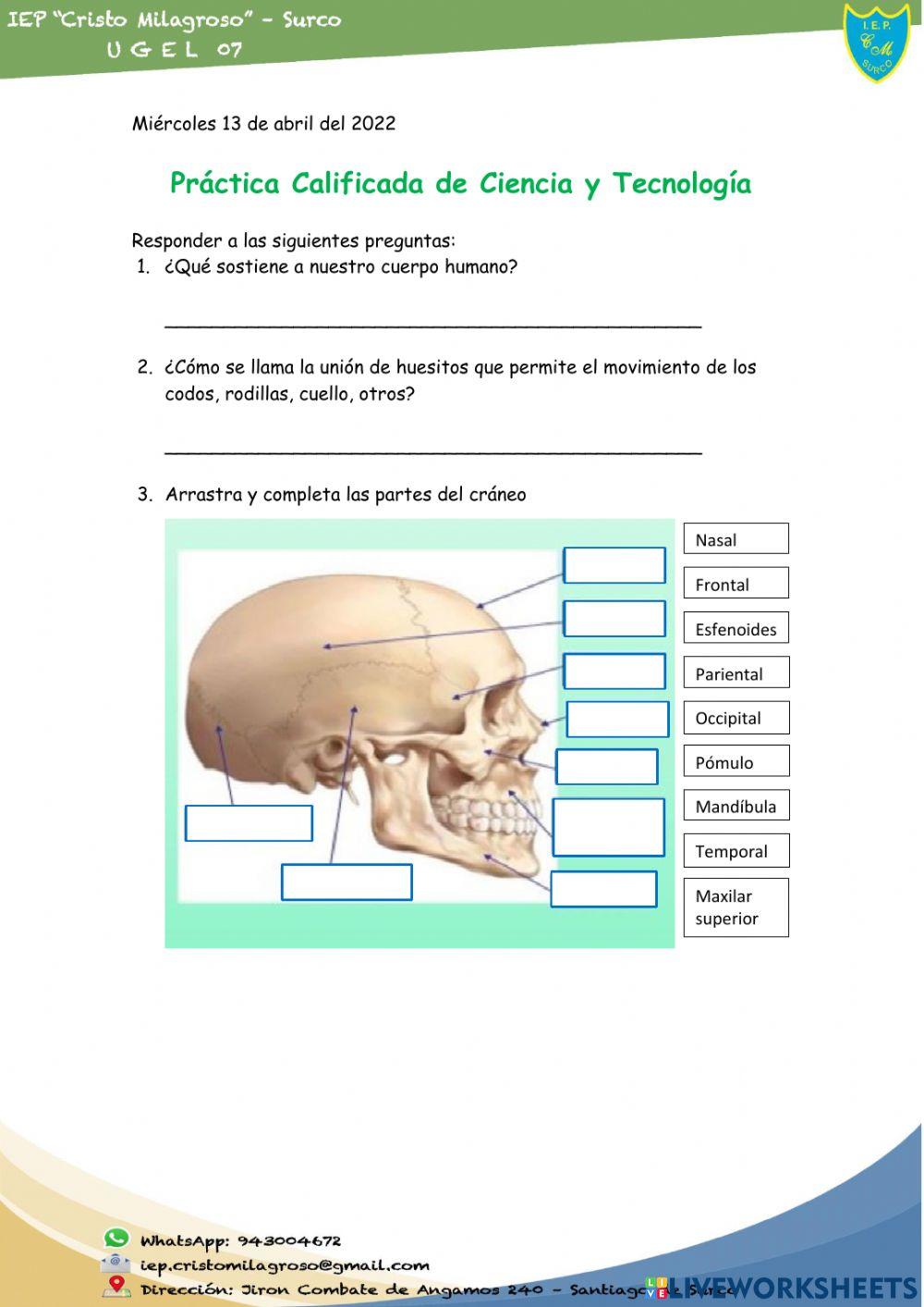 Practica de ciencias