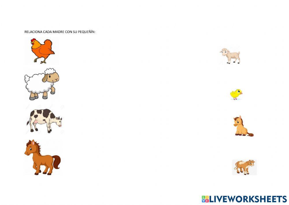 Madres y sus crías.