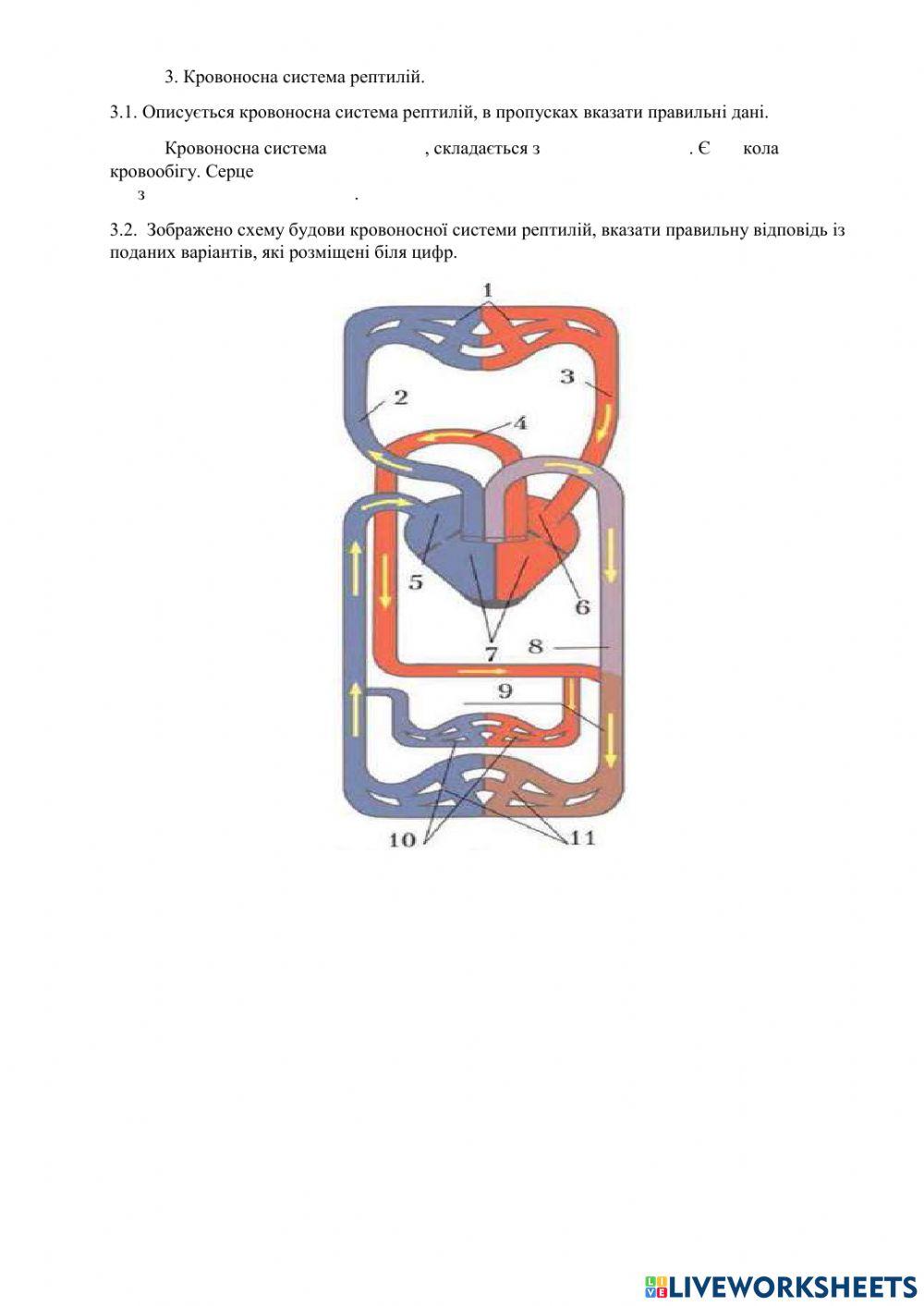 Біологія, 7 клас
