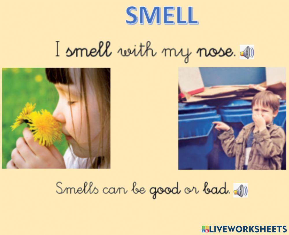 1996148 | Smell | almuvaldi | LiveWorksheets