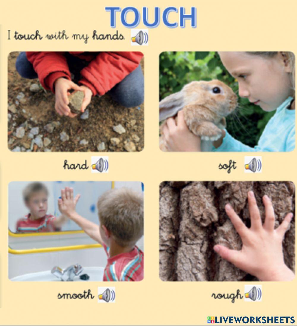 Touch exercise | Live Worksheets