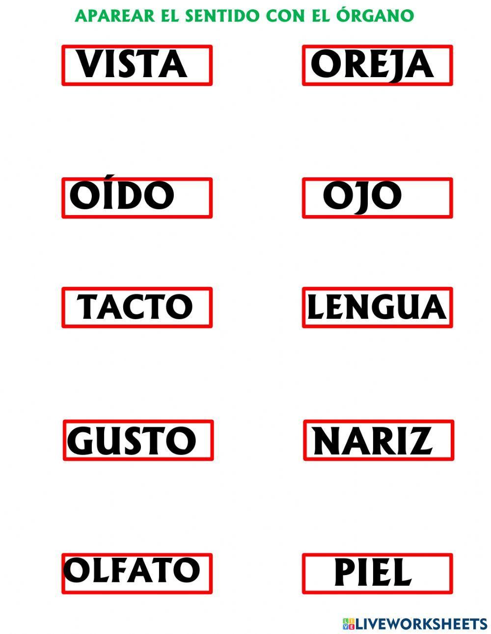 Los sentidos de los órganos