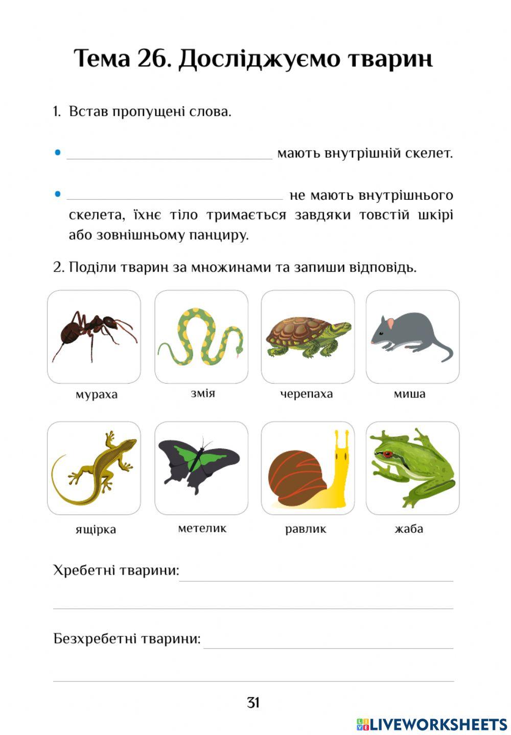 Досліджуємо тварин