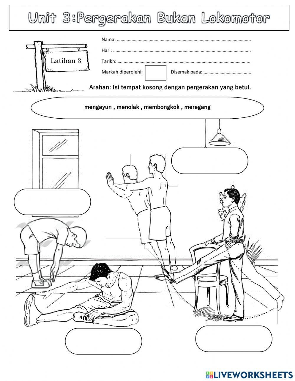 Pergerakan Bukan Lokomotor