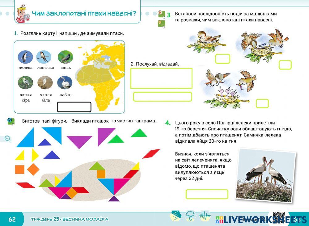 Весняна мозаїка.Тиждень 25