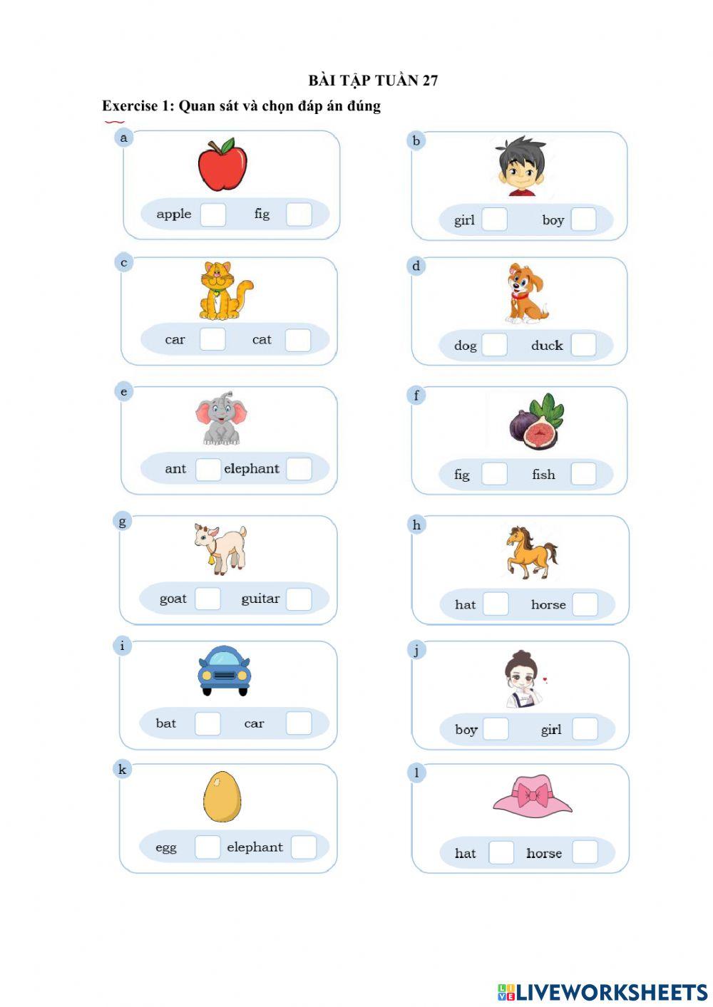 Bài tập tuần 27