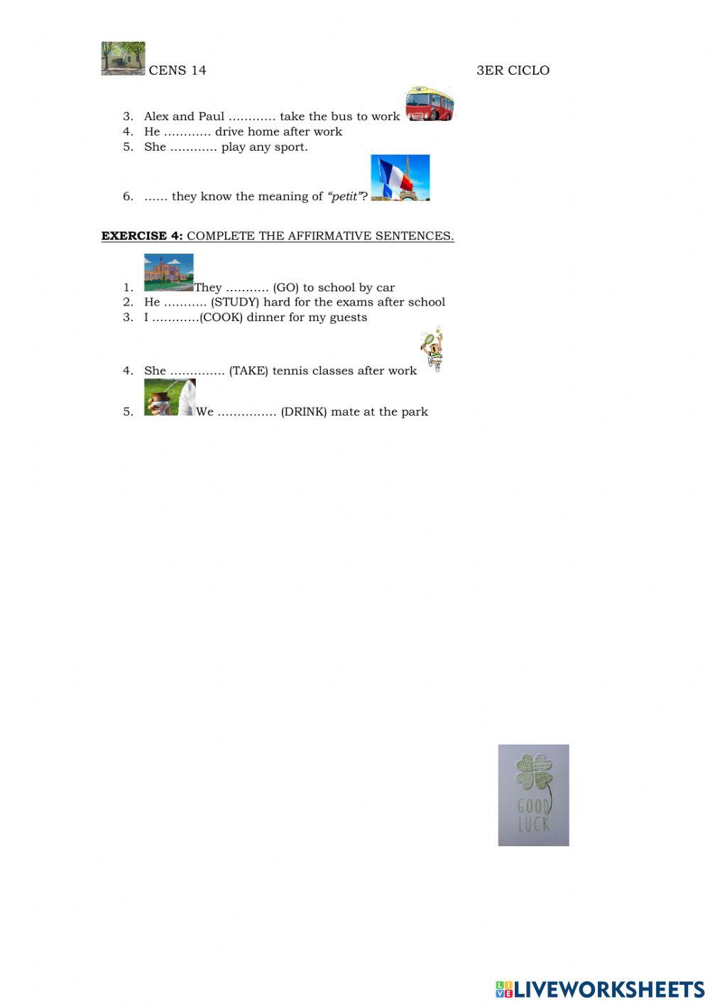 Diagnostic test 3rd year