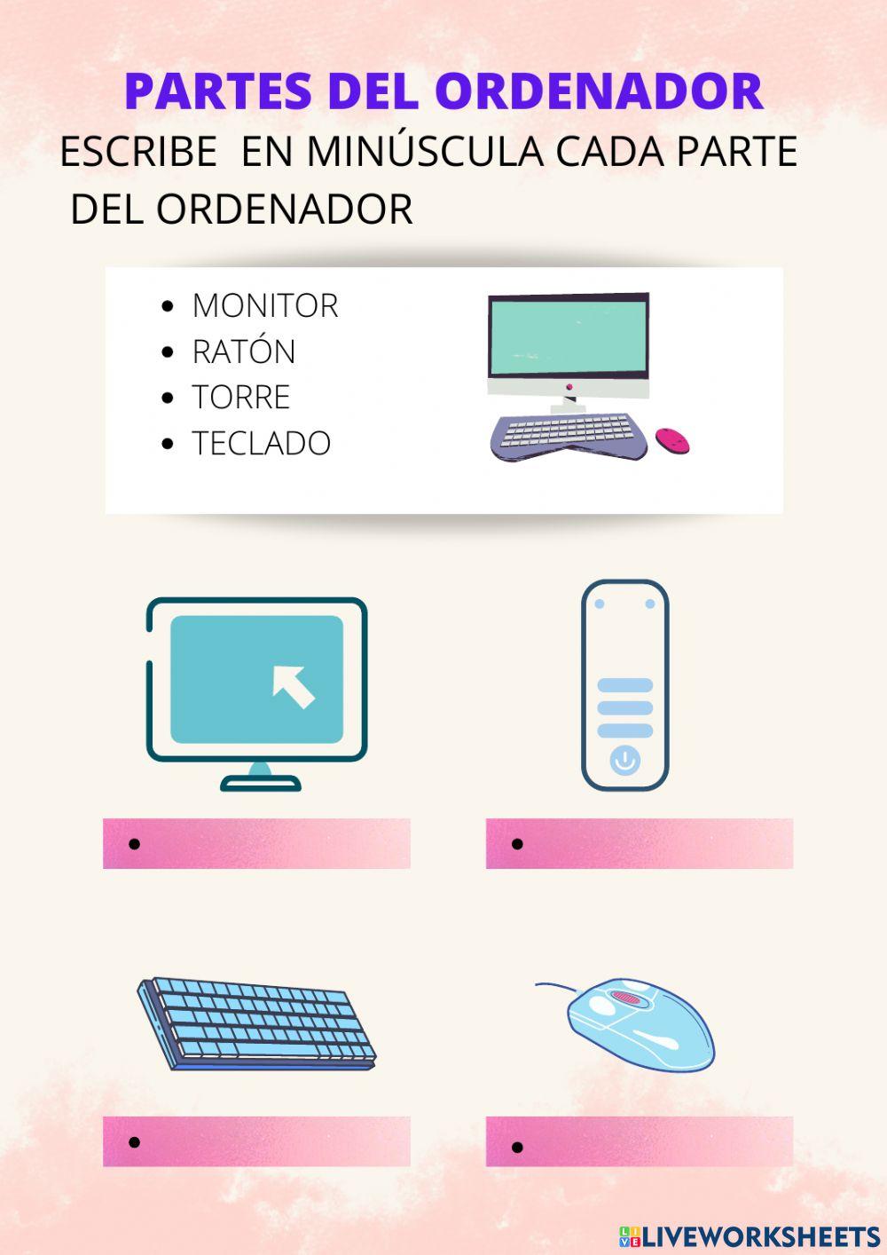 Partes del ordenador 