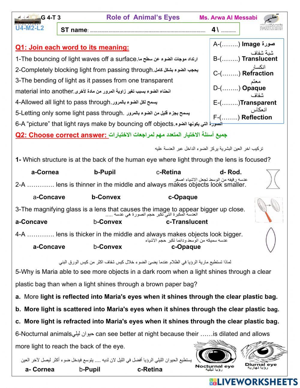 Role of Animal's Eyes