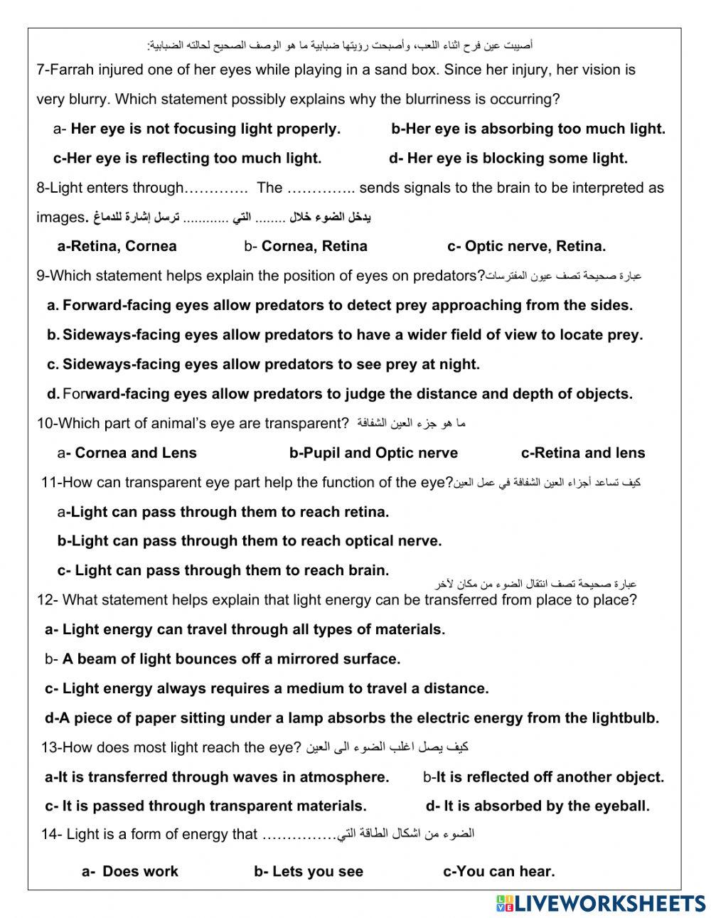 Role of Animal's Eyes