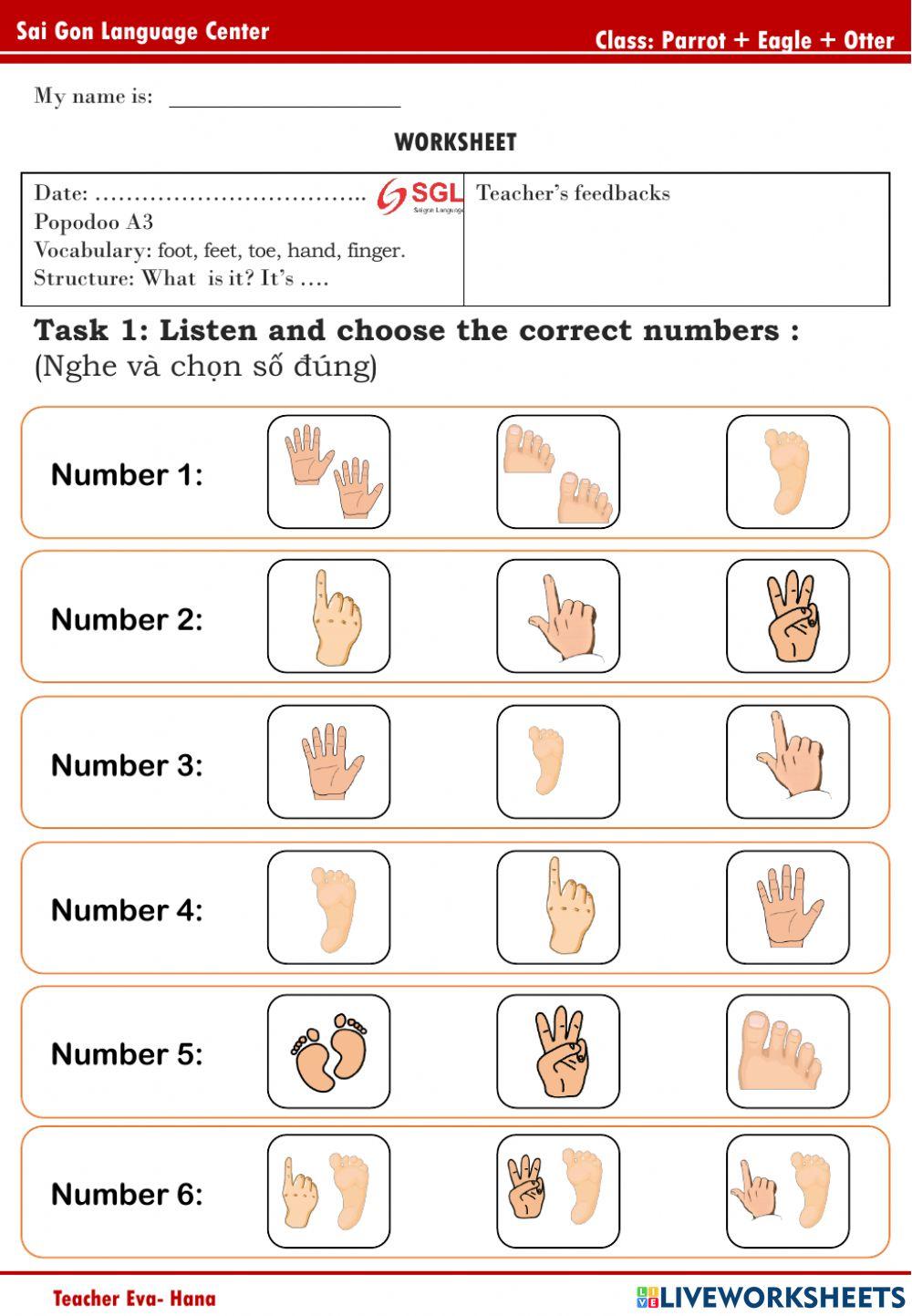 PPD A3 - (foot, finger, toe, hand)