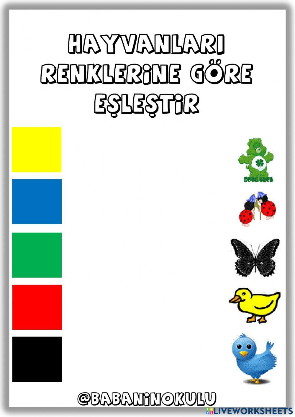 ŞUBAT-MART GENEL TEKRAR CUMARTESİ-1