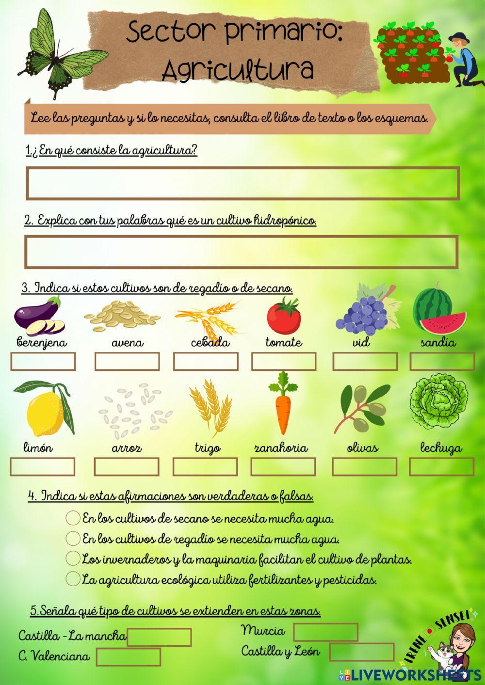 Sector Primario: Agricultura