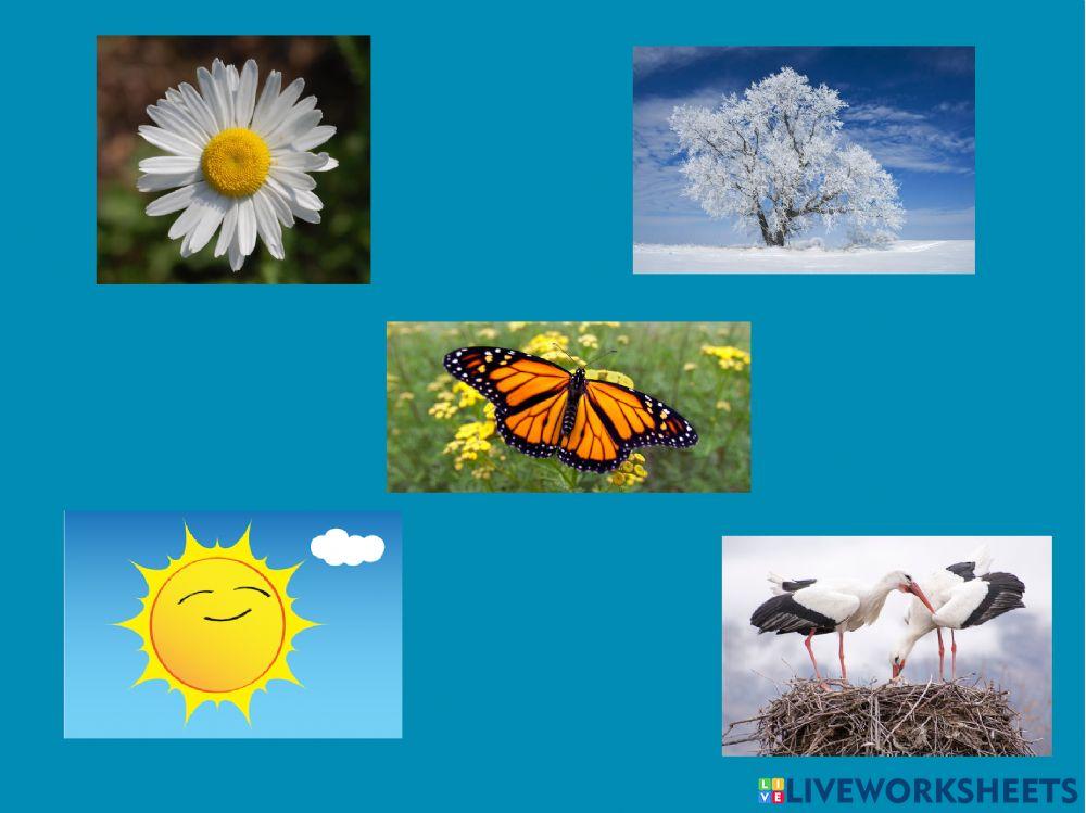 Intruso de la primavera