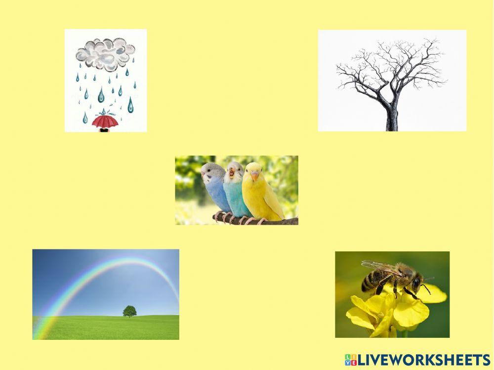 Intruso de la primavera