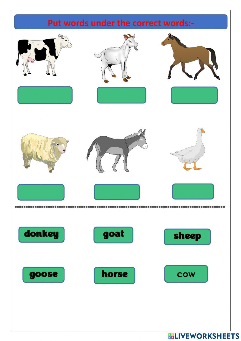 Grade 3 unit 8 lesson 1