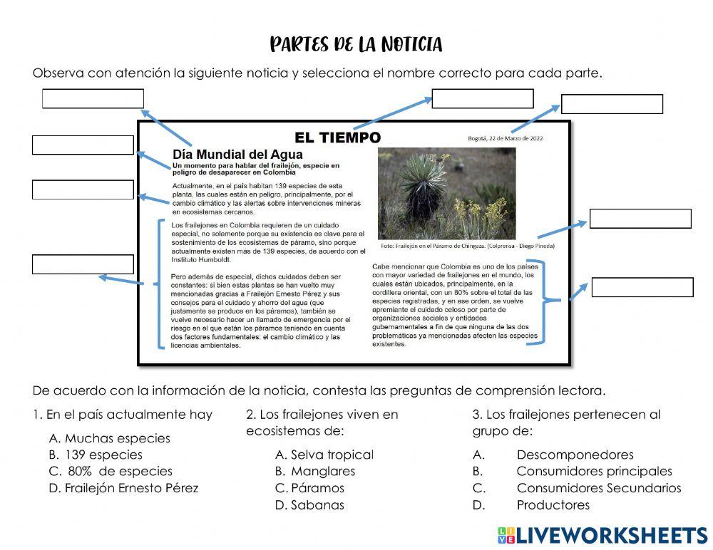 Partes de la noticia