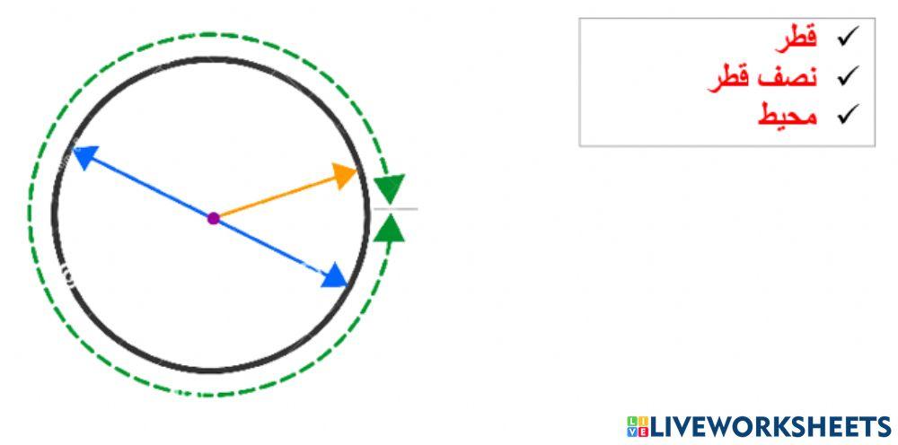 أجزاء الدائرة
