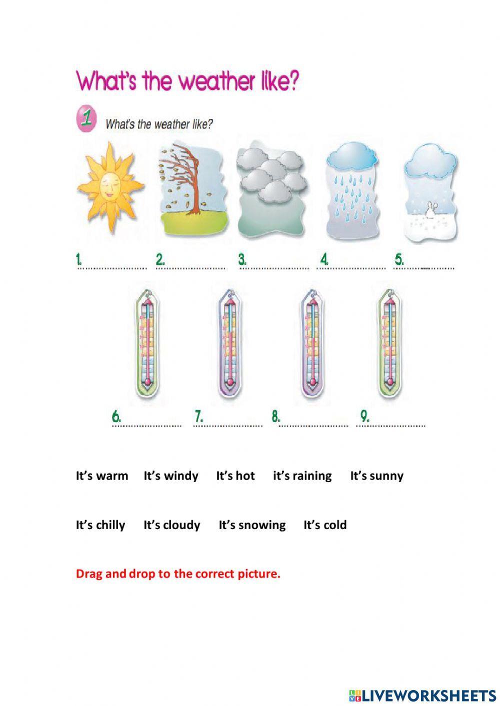 What's the weather like?