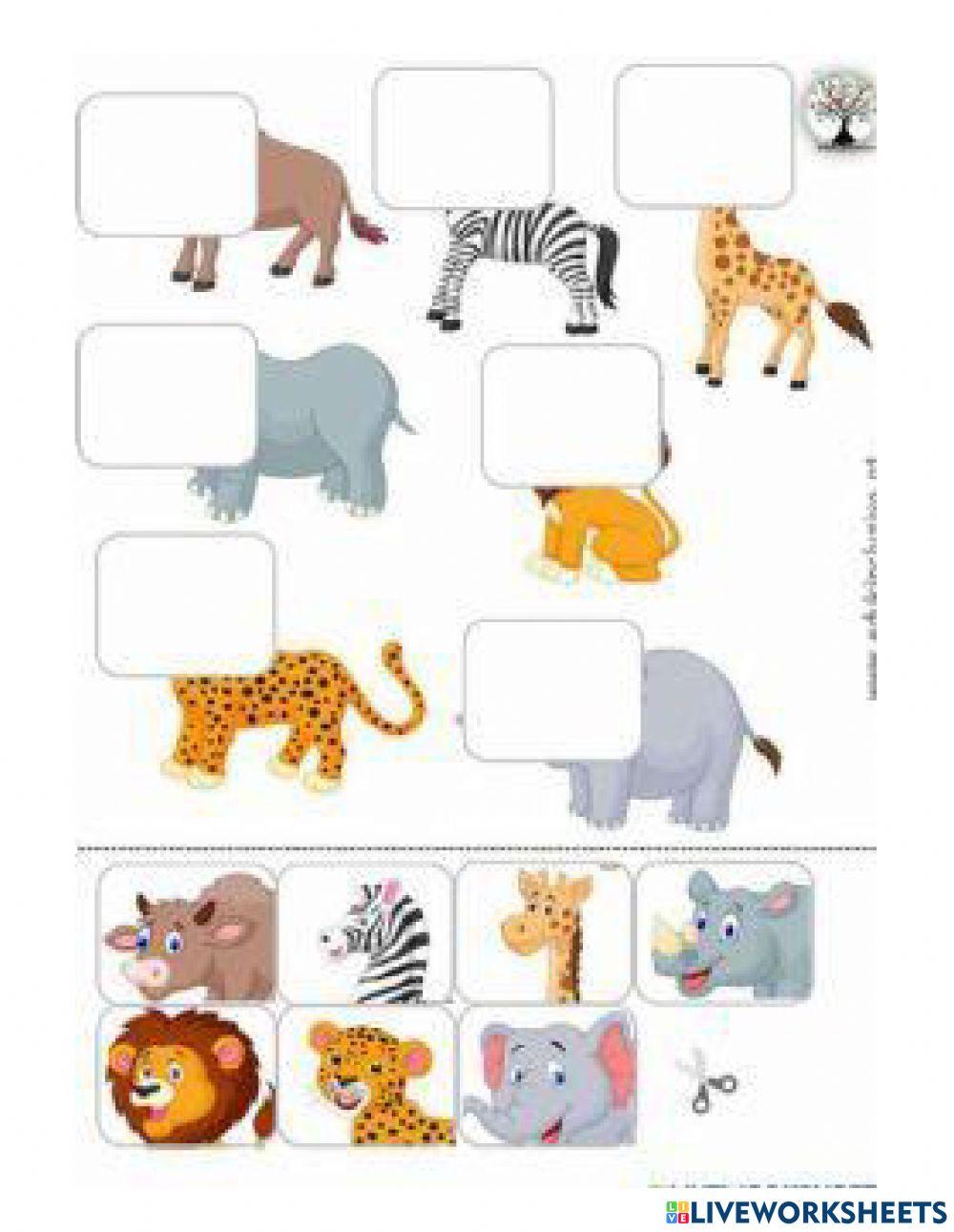 Drag drop interactive worksheet Live Worksheets