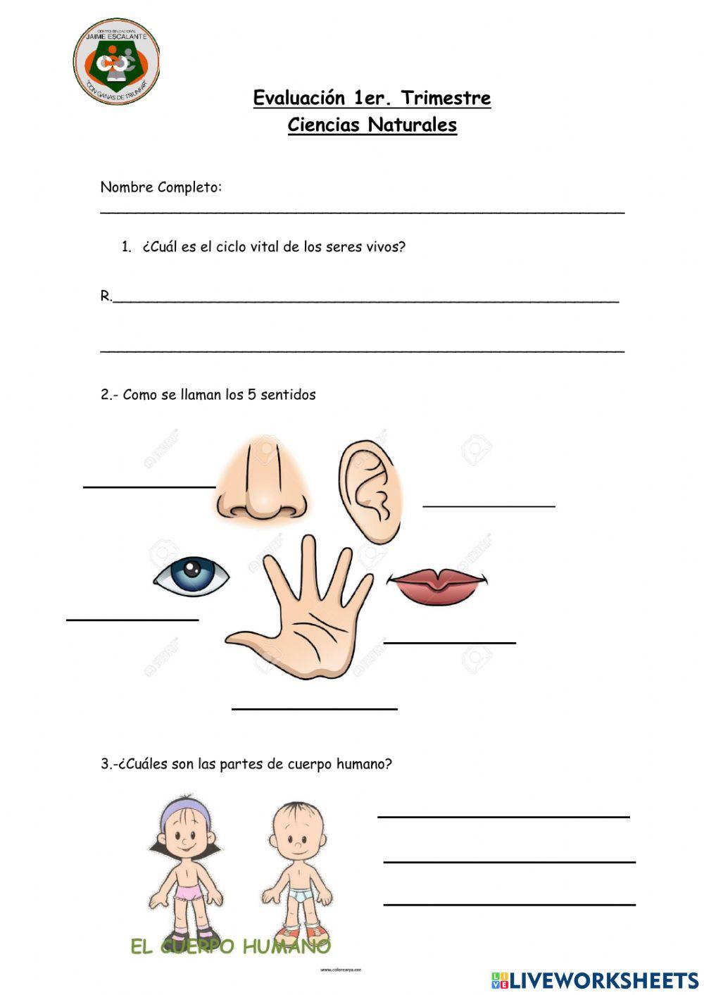Evaluación Ciencias naturales 1er trimestre