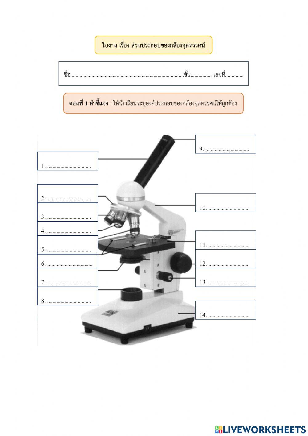 ใบงาน เรื่อง ส่วนประกอบของกล้องจุลทรรศน์