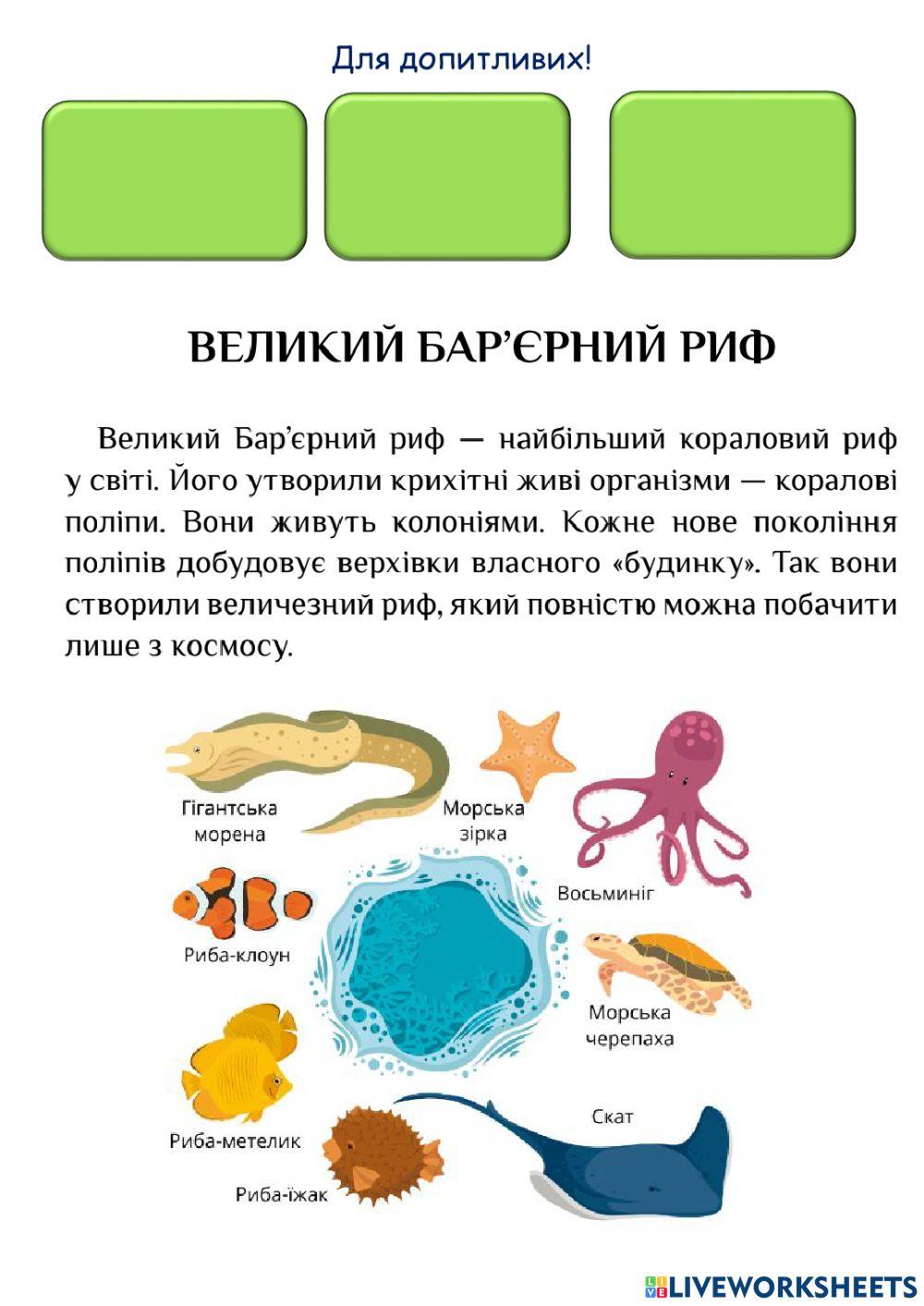 ЯДС Океанія, Кораловий риф