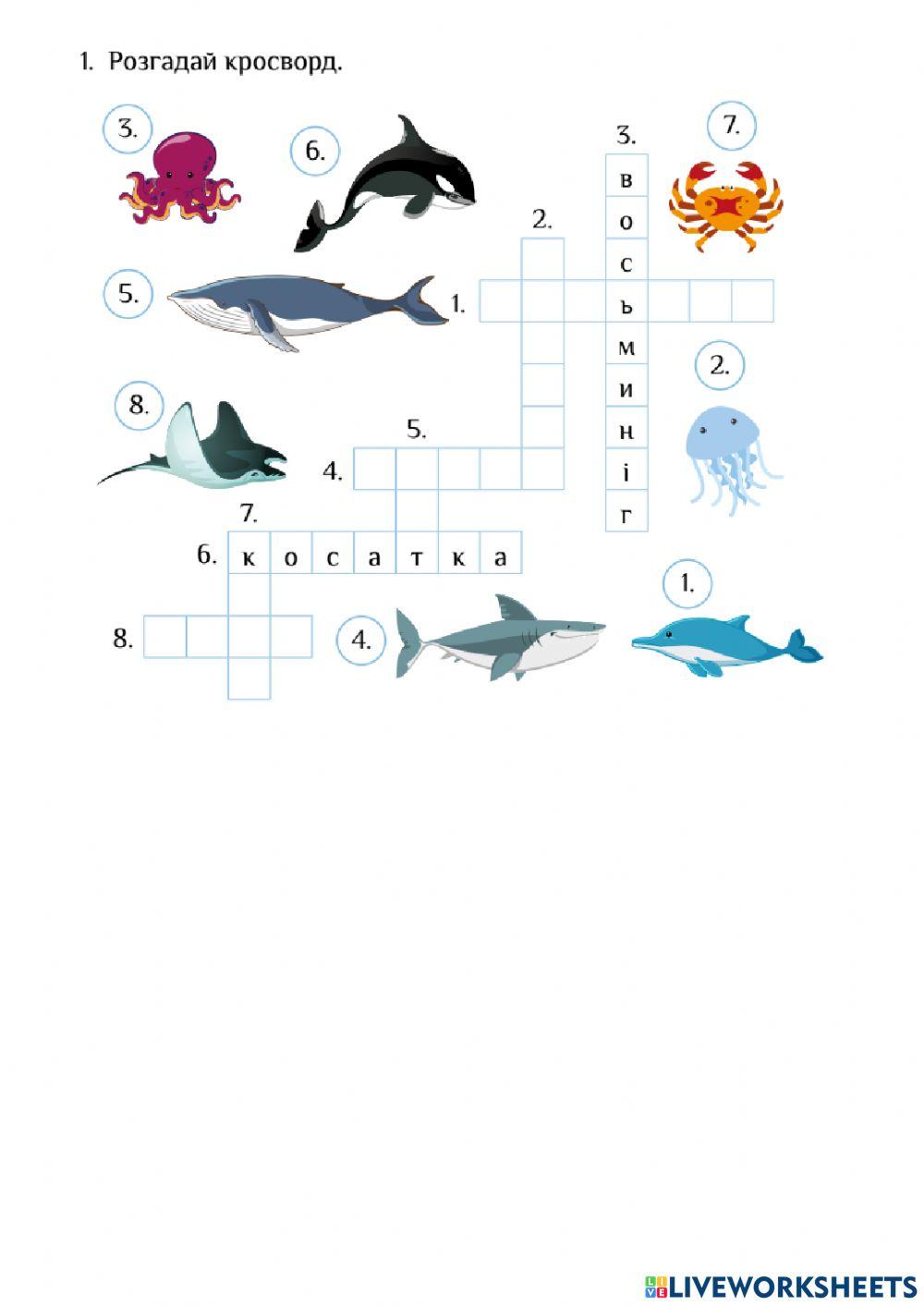 ЯДС Океанія, Кораловий риф