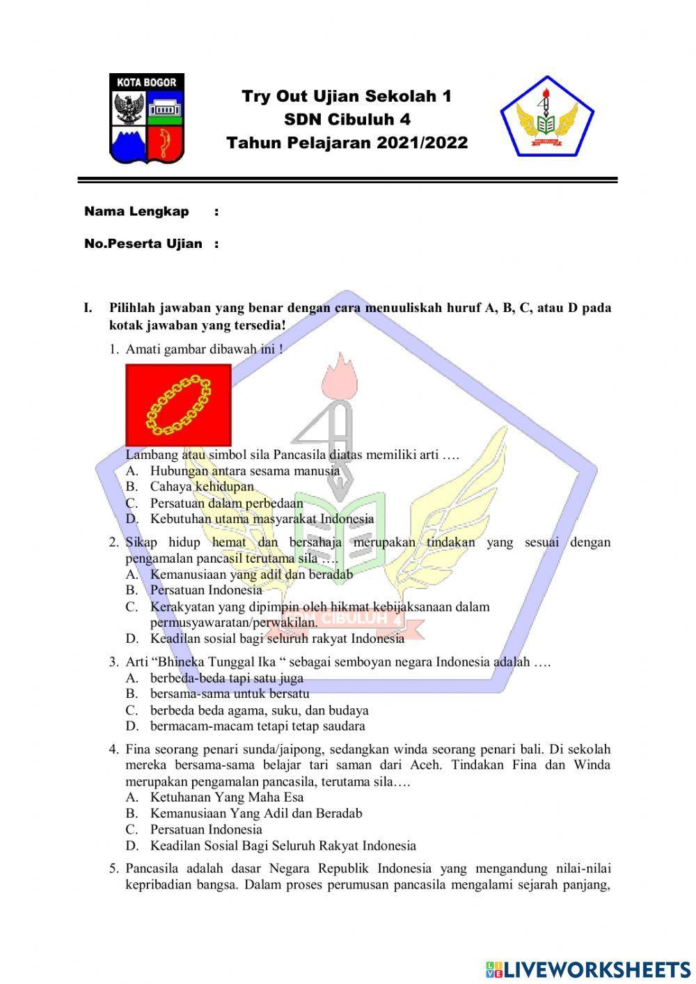 Try Out Ujian Sekolah PPKn