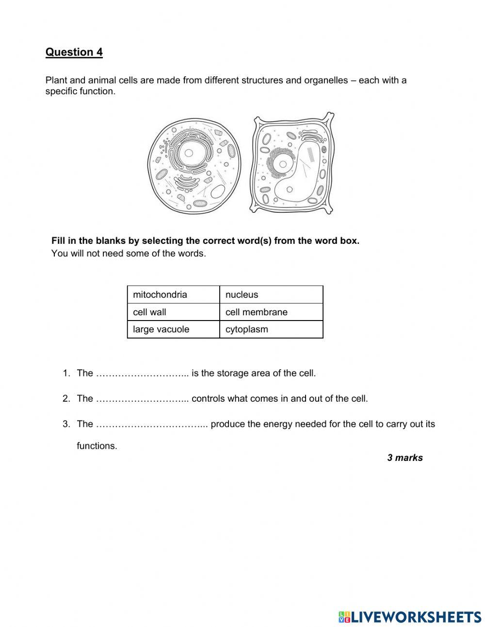 Grade 6 End of Semester 1 Test Practice Paper Part 1