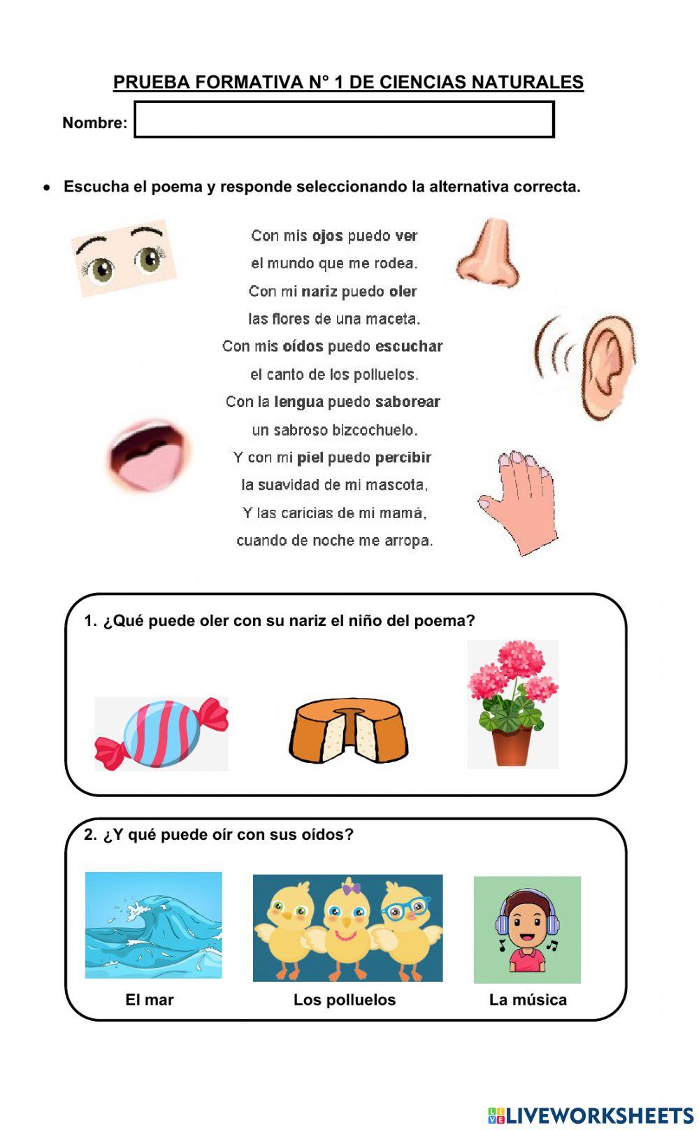Prueba Formativa Unidad 1 Ciencias Naturales