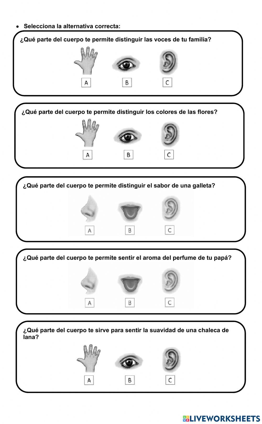 Prueba Formativa Unidad 1 Ciencias Naturales