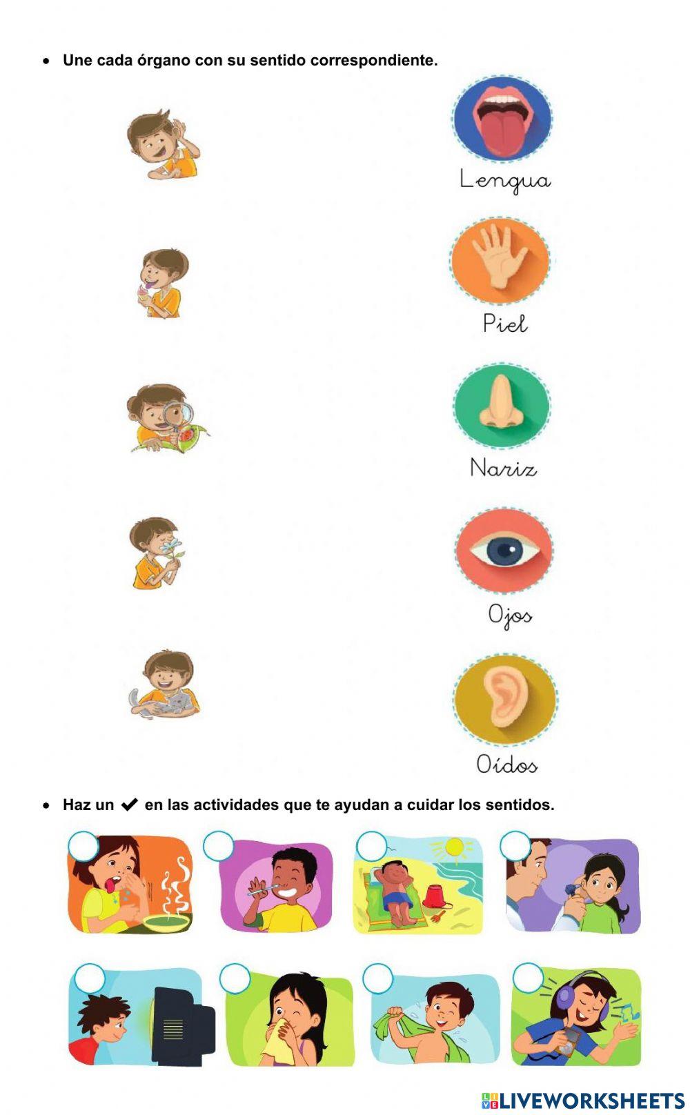Prueba Formativa Unidad 1 Ciencias Naturales