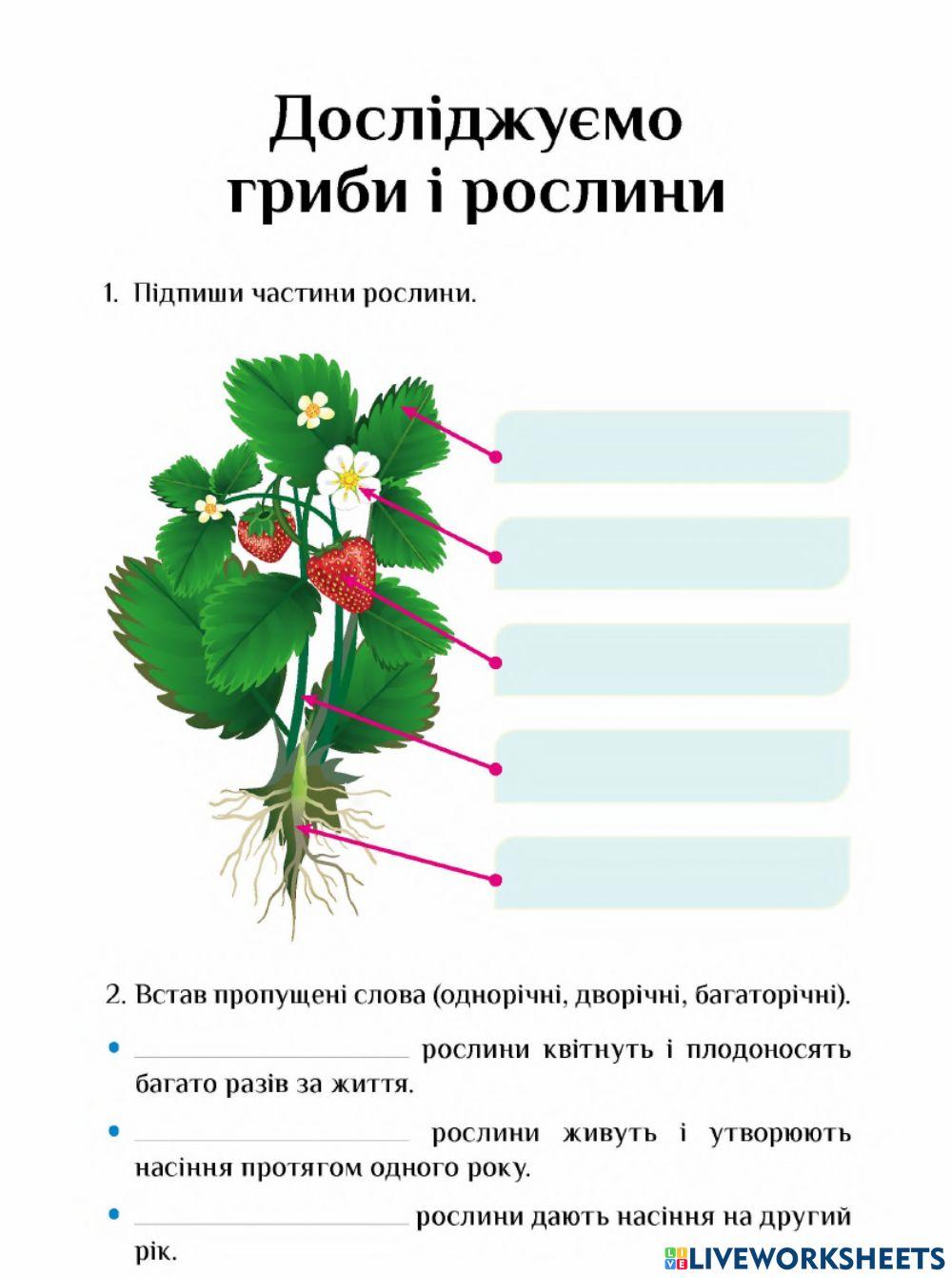 Рослини: будова, розмноження, живлення-3 клас-Воронцова