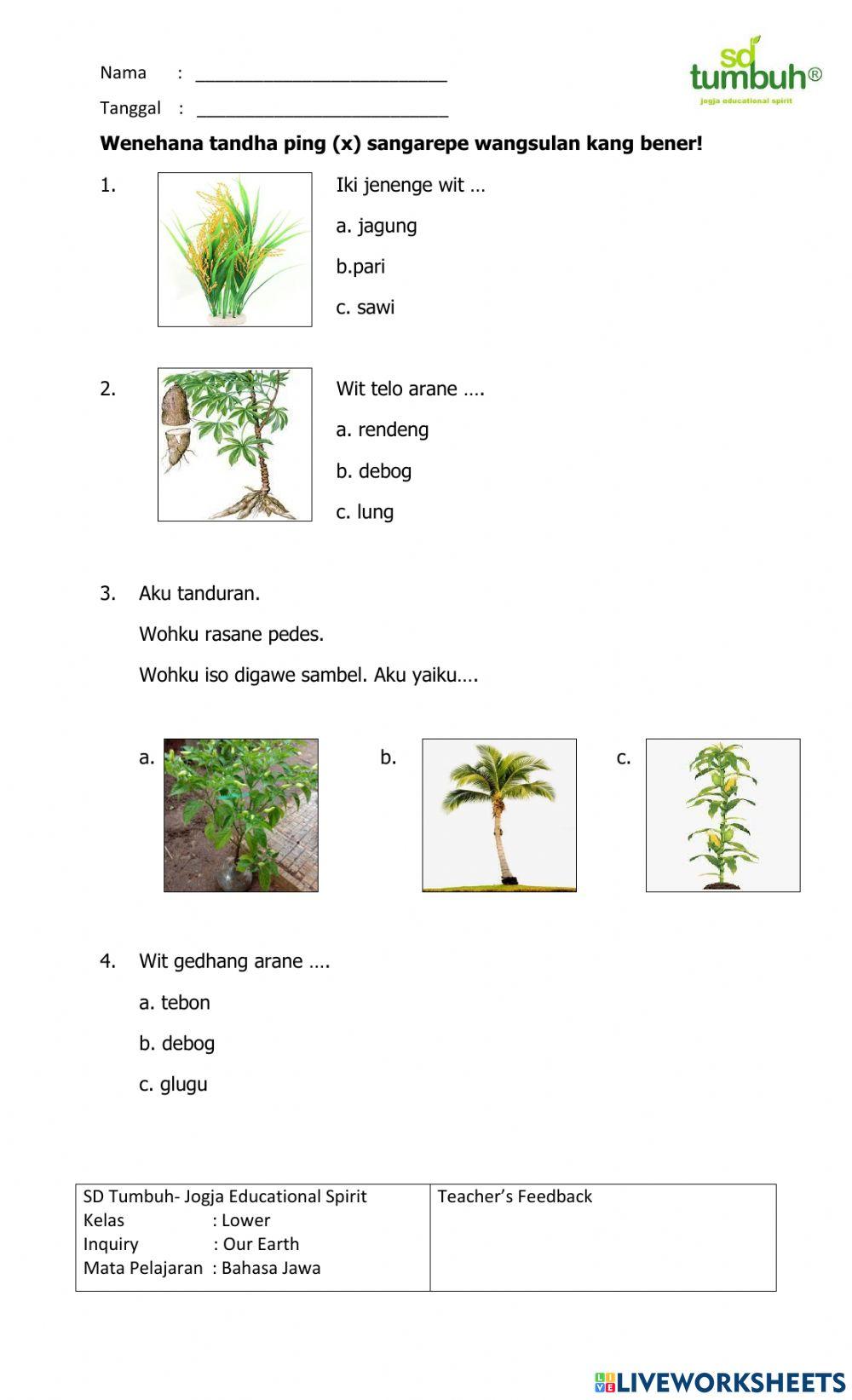 Bahasa Jawa-Evaluasi Kewan lan Tanduran-A