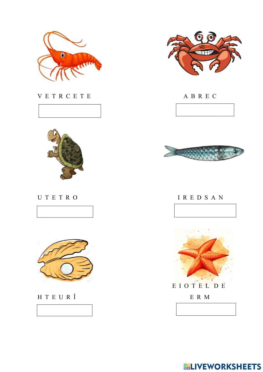 Les animaux de la mer