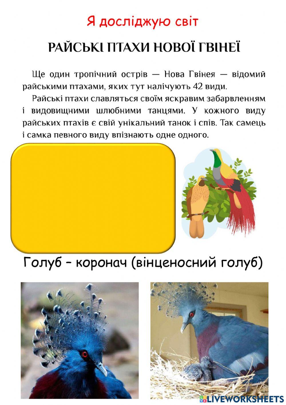 Я досліджую світ. Райські птахи.