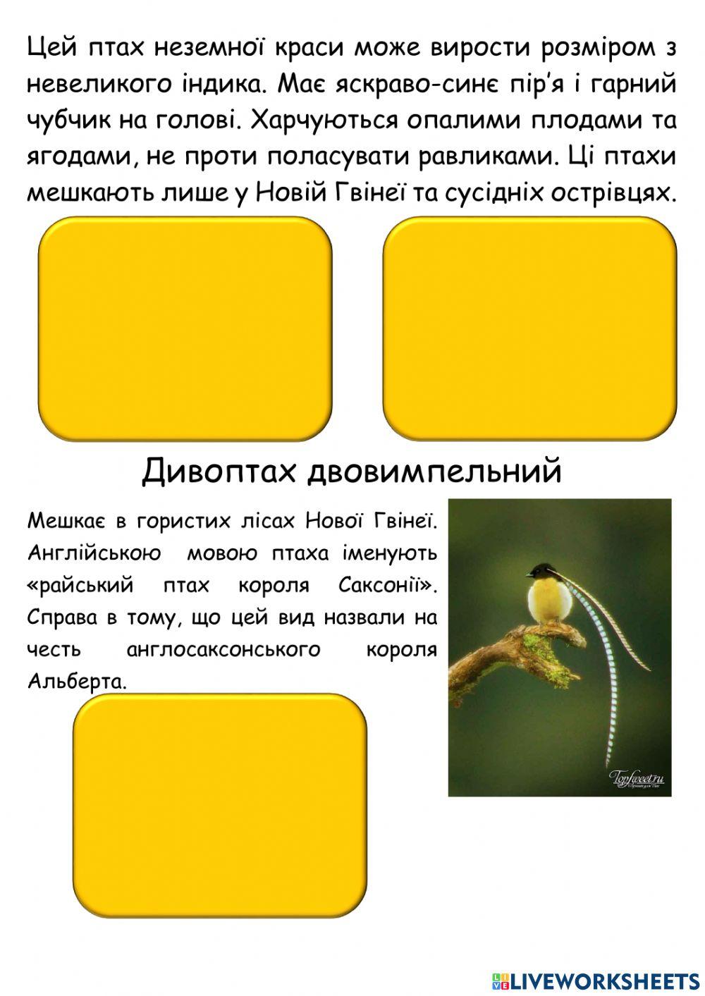 Я досліджую світ. Райські птахи.