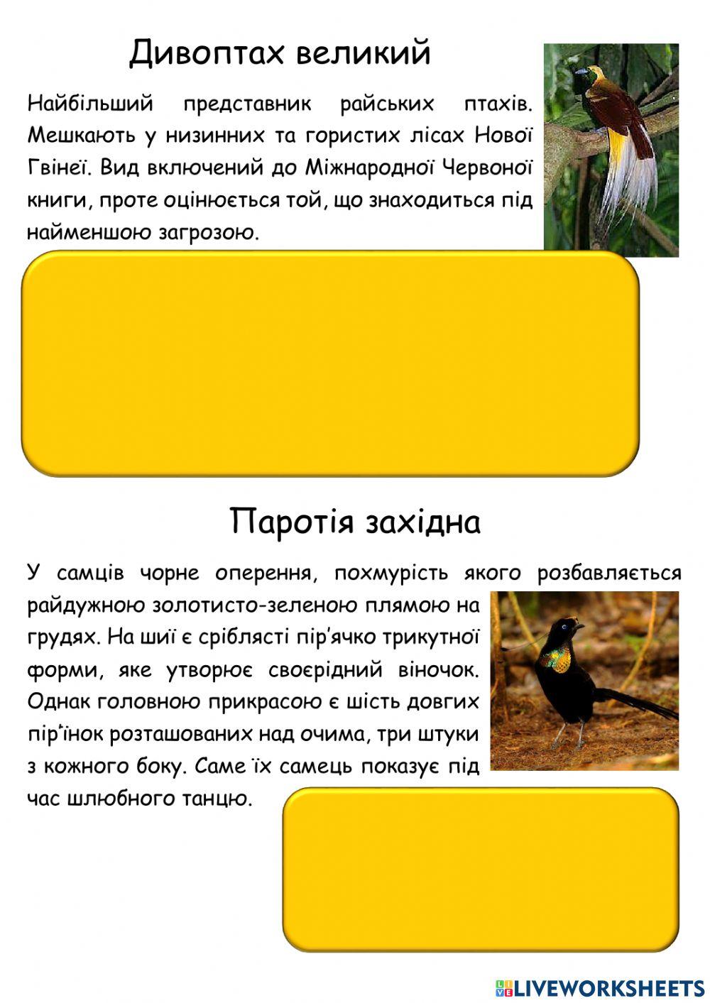 Я досліджую світ. Райські птахи.