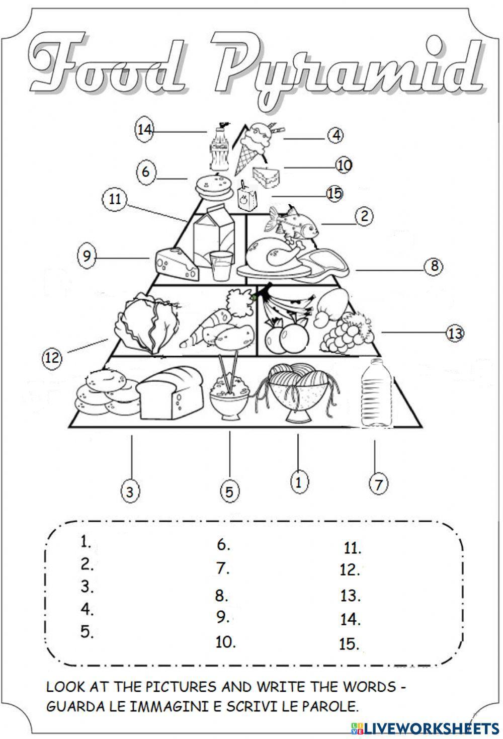 Food Pyramid